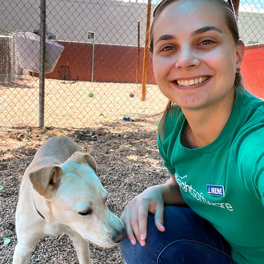 An insighter volunteering with a rescue dog